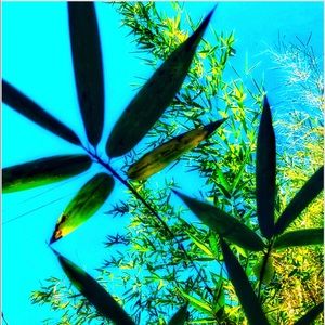 Meet your Posher, Joel